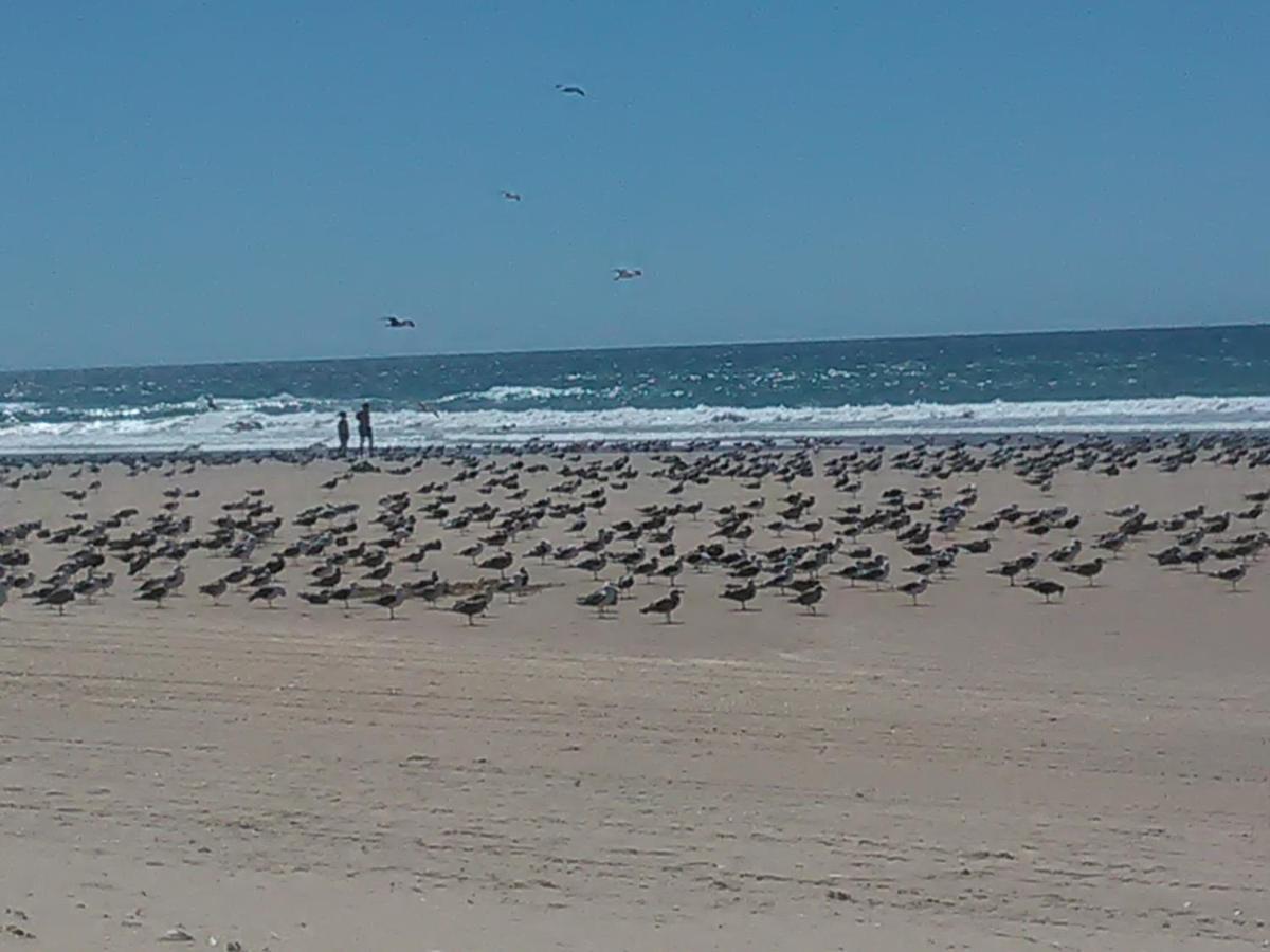 Caparica Holidays Charneca  Eksteriør bilde